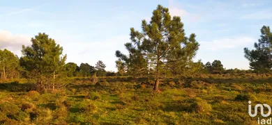 Terreno  em Vila do Bispo e Raposeira