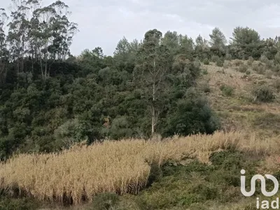 Fotografia 3 de Terreno de 2520 m² em Vila Verde dos Francos