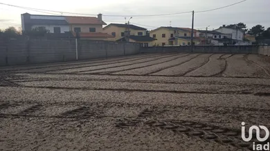 Terreno  em Estela