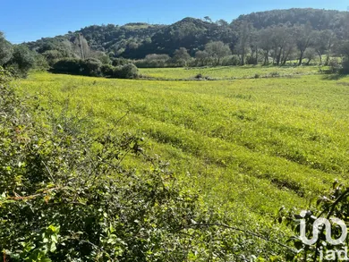 Terrain  à Santo Isidoro