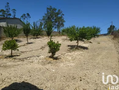 Terrain agricole   à Silveira