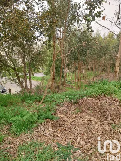 Building plot at Sandim, Olival, Lever e Crestuma