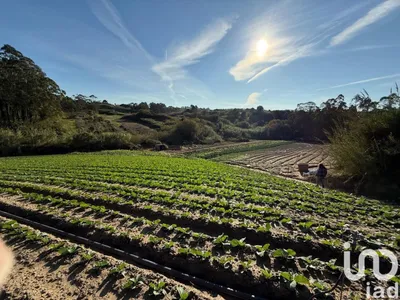 Fotografia 1 de Terreno rústico de 10 840 m² em Atouguia da Baleia