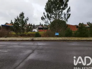 Terreno em Coz, Alpedriz e Montes