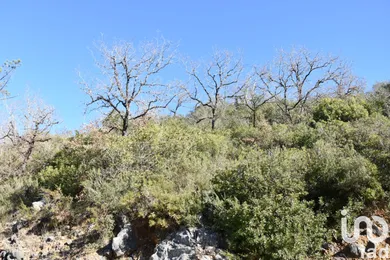 Terreno em Freixianda, Ribeira do Fárrio e Formigais