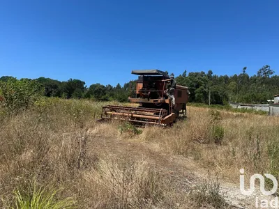 Fotografia 2 de Terreno urbano de 9500 m² em Requeixo, Nossa Senhora de Fátima e Nariz