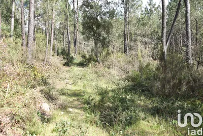 Fotografia 5 de Terreno urbano de 3446 m² em Rio de Couros e Casal dos Bernardos