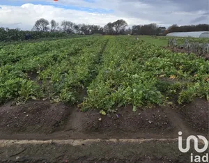 Land  at Belinho e Mar