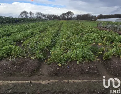 Land at Belinho e Mar