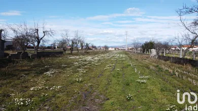 Terreno  em Madalena e Samaiões
