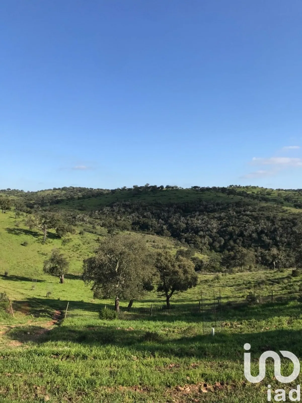 Terreno rústico de 8 000 000 m² em Safara e Santo Aleixo da Restauração