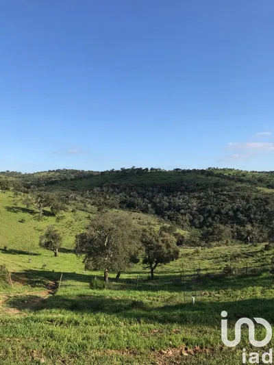 Fotografia 4 de Terreno rústico de 1800 m² em Barrancos