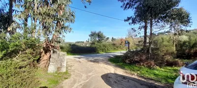Fotografia 3 de Terreno de 24 500 m² em Oliveira do Hospital e São Paio de Gramaços