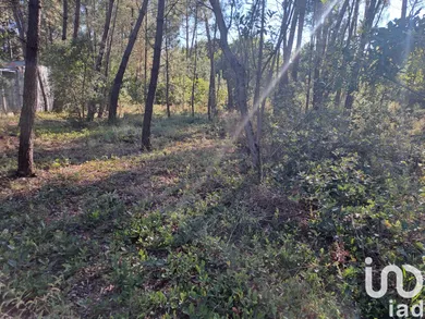 Terreno  em Lousã e Vilarinho
