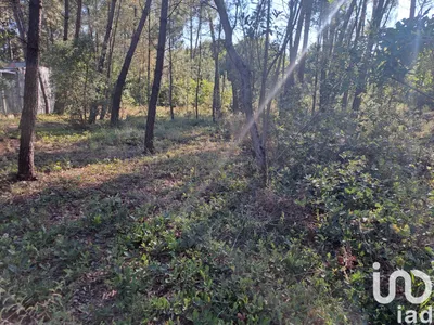 Fotografia 3 de Terreno de 990 m² em Lousã e Vilarinho