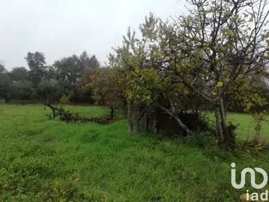 Terreno em Póvoa de Rio de Moinhos e Cafede