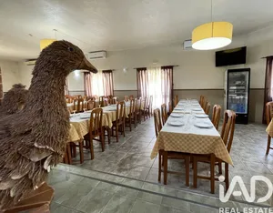 Loja / Estabelecimento Comercial  em Madalena e Beselga