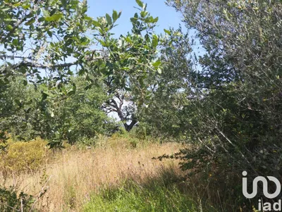 Fotografia 3 de Terreno de 1560 m² em Chãos