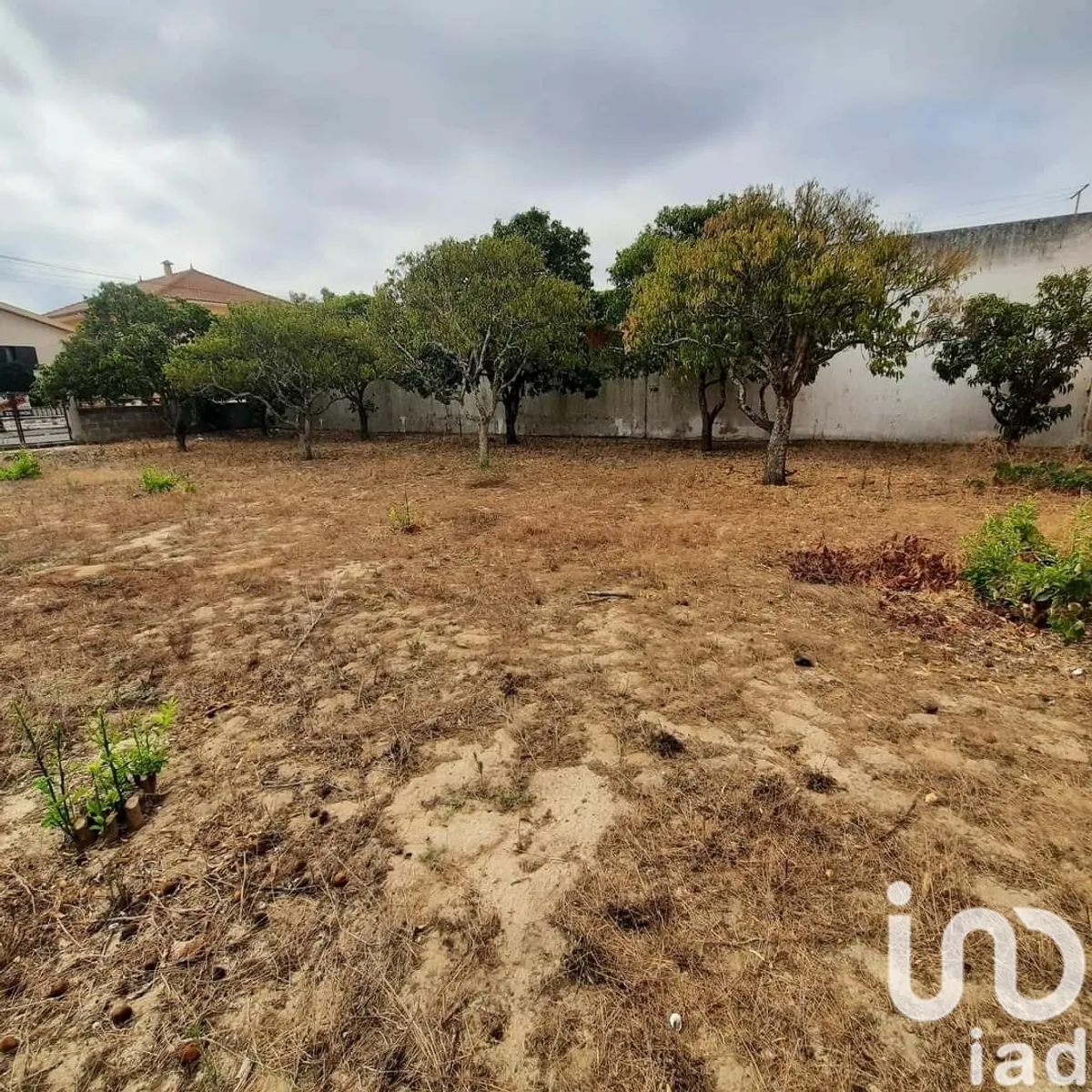 Terreno urbano de 375 m² em Muge