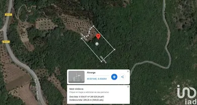 Terreno  em Alvorge