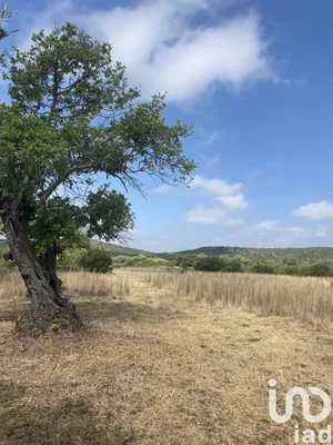 Terreno  em Santa Catarina da Fonte do Bispo