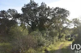 Terreno  em Areias e Pias