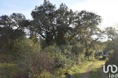 Terreno  em Areias e Pias