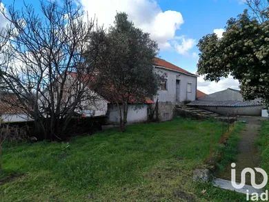 Quinta  em João Antão