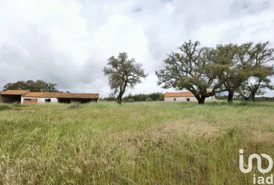 Casa de campo em Alvalade