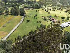 Land  at Souto da Carpalhosa e Ortigosa