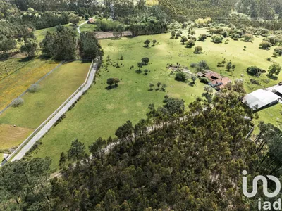 Fotografia 8 de Terreno de 21 000 m² em Cerdal