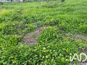 Terreno em Barcelos, Vila Boa e Vila Frescainha (São Martinho e São Pedro)