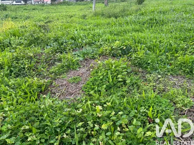 Terrain à Barcelos, Vila Boa e Vila Frescainha (São Martinho e São Pedro)