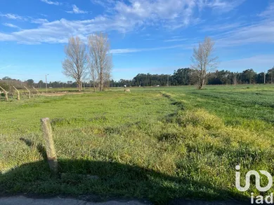Land at Beduído e Veiros