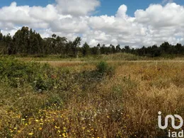 Land in Caldas da Rainha - Santo Onofre e Serra do Bouro