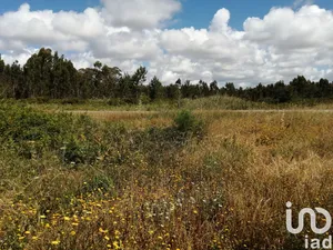 Land  in Caldas da Rainha - Santo Onofre e Serra do Bouro