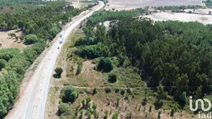 Land  at Gavião e Atalaia