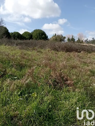 Building plot in Batalha