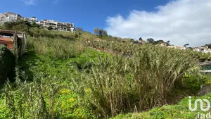 Land  at Funchal (Santa Maria Maior)