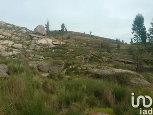 Terreno em Seixo da Beira