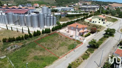 Terrain  à Murça