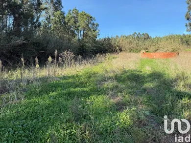 Terreno rústico  em Atouguia da Baleia