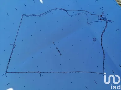 Land  in Monte Real e Carvide