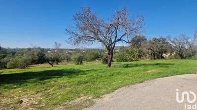 Fotografia 9 de Terreno rústico de 6800 m² em Almancil