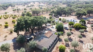 Maison  à Abela