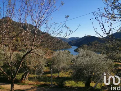 Terreno  em Freixo de Espada à Cinta e Mazouco