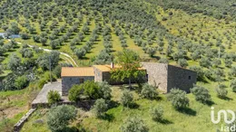 Farm in Ligares