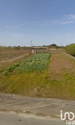 Land  in Torreira