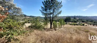 Land  in Colmeias e Memória