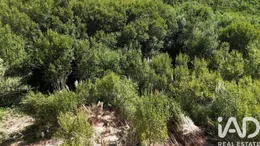 Terrain  à Carvoeira